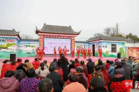 盐城市亭湖区南洋镇：巾帼力量美丽绽放图片