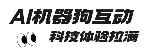 泡泡大作战、AI机器狗！解锁六安首场亲子追光跑！