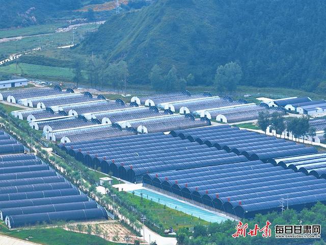 【渭水泱泱 大潮滂滂】温泉花海引客来 空中菌林织富路 探访渭河流域可持续发展的“清水模式”