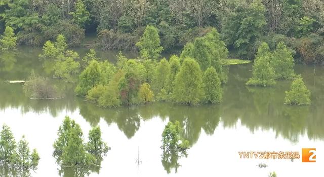 禁止入内,谢绝游览!昆明这个网红打卡点封闭管理