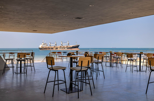 冬天！所有人都该来荣成见一见“永不失约”的布鲁威斯