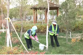 瓜州：苗木养护正当时图片