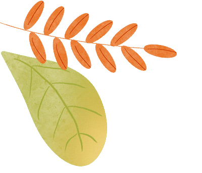 上海出发车程2小时内！邂逅太湖最美日落！4折套餐专享购就要结束！（内有免费住宿惊喜）