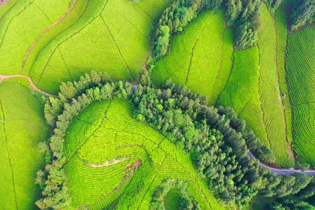 外交部赵立坚热情推荐的恩施这4个地方，究竟有多美？