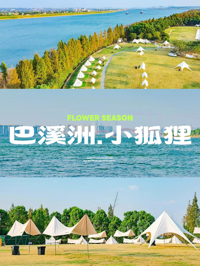 文旅湘江丨绝对不可以，错过长沙版的「秋日芦苇海」