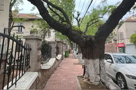 人文青岛|两山相拥，巨龙盘卧——齐东路上的故居和往事图片