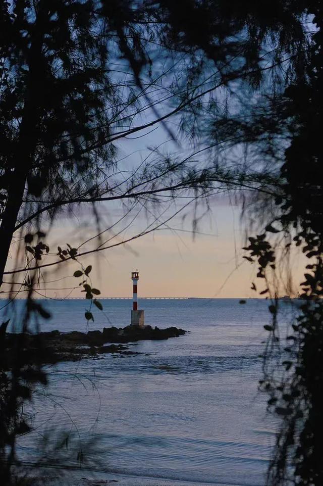 新华社携手董宇辉,走进广西的蔚蓝海岸……