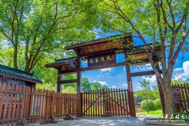 南京钟山：上新！这些“新朋友”带你秒入山林