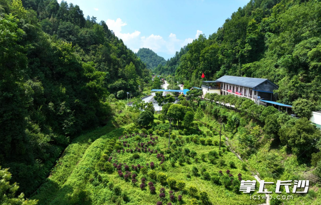 绿水青山就是金山银山，看长沙自然守护之道