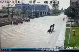 咬伤女童的罗威纳犬被捕获，成都警方回应狗主人调查情况图片