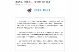 案件详情公布！团伙炒作“女童南汇海滩走失”事件，AI批量造帖图片