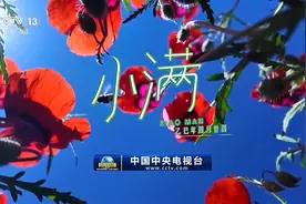 文化中国行丨二十四节气·小满 小满者，物至于此小得盈满图片