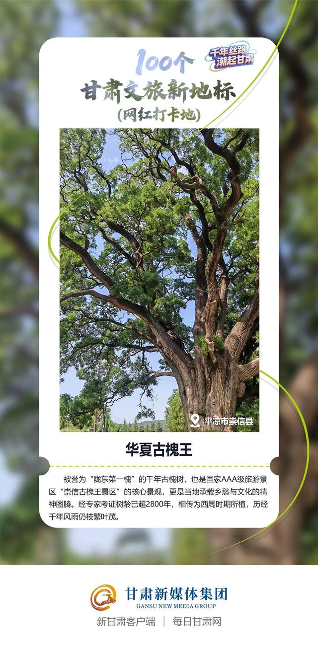 【微海报】100个甘肃文旅新地标(网红打卡地)——陇东南地区