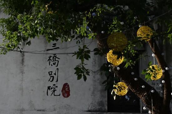 2025“最美小镇”名单公示，上海这一处上榜！