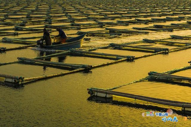 出发！抓住秋天的尾巴威海『拾秋地图』上新啦