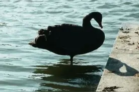 新学期校历来了！假期、考试安排速看！图片