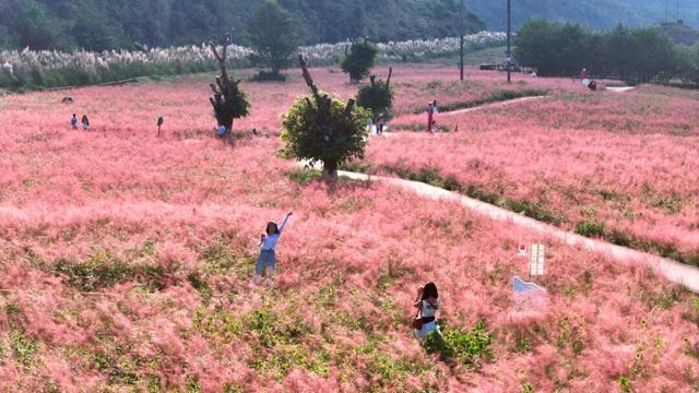 这个假期，25万游客在长顺“花样”过节！