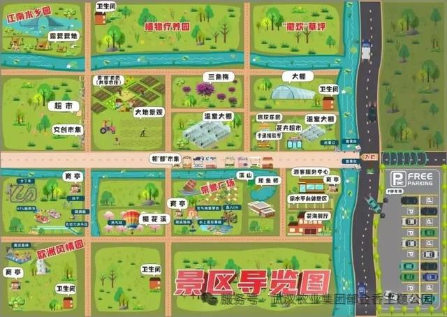 免费！2025武汉金秋菊展时间定了！哪些地方能赏菊？