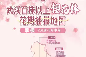 最新最全！武汉78处百株以上赏樱花期地图来啦→图片