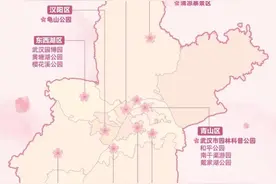 最新最全！武汉78处百株以上赏樱花期地图来啦→图片