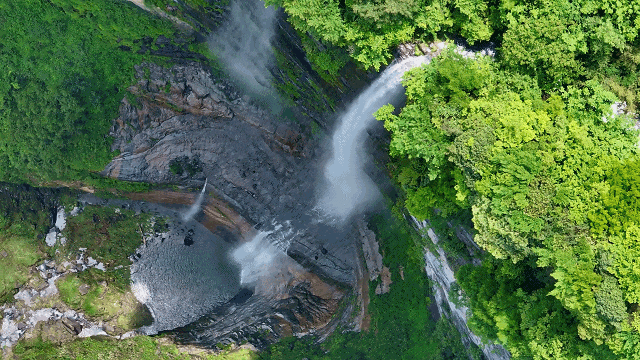 什么！毕节这里也上电视了？