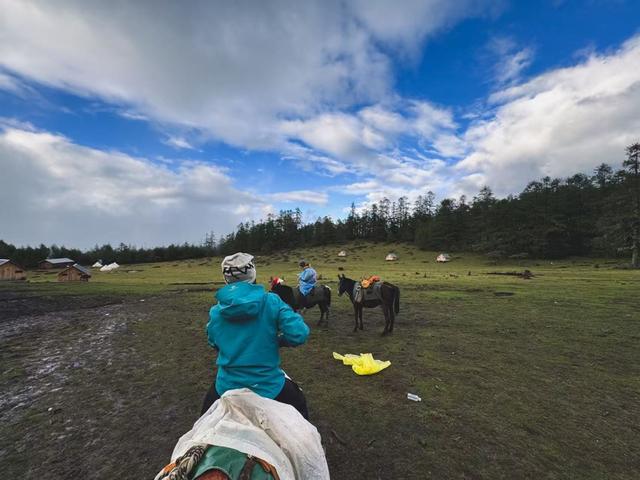 当山野成为失控的生意