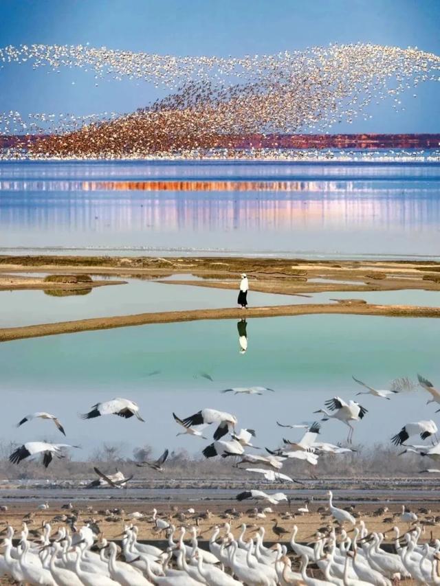 今日大雪 | 江西过冬最浪漫的事