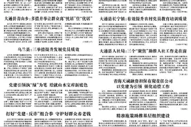 大通县人社局：三个“聚焦”助推人社工作走在前图片