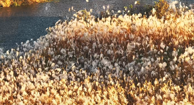 余杭“秋日恋歌”打卡地图出炉！