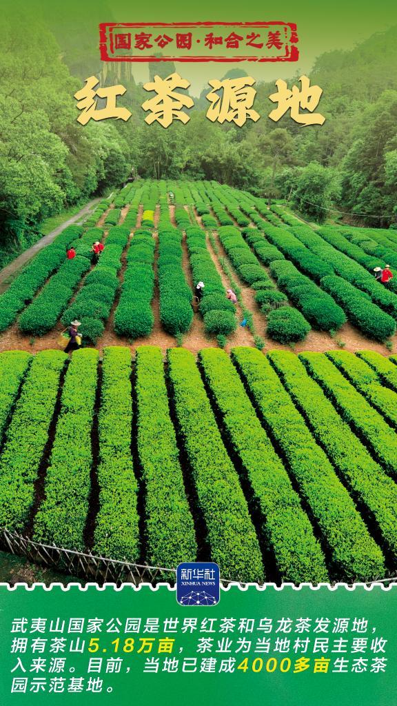 和合之美丨武夷山国家公园：“会呼吸”的诗意乐园