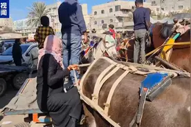 加沙地带大量巴勒斯坦人流离失所 四处逃难图片