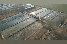 【新春走基层】赵庄镇莲藕喜获丰收，抢“鲜”上市图片