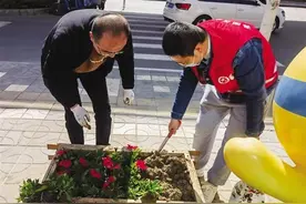 社区提供花卉 居民认领栽植 牌坊路社区发动居民共同打造“共享花园”图片