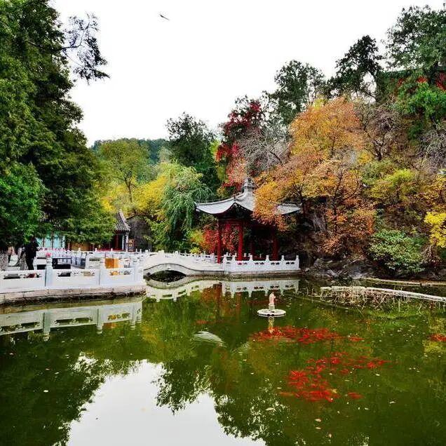 人少景美！北京这些古刹红叶正在最佳观赏期！