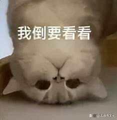 走进文化馆｜大兴惊现免费宝藏地！99%北京人还不知道！