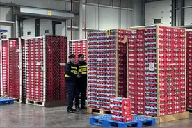 “网红水果”智利车厘子又来了，首船近千吨抵沪图片