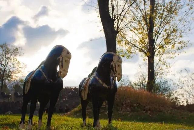 初冬高饱和度美景，还得看洛阳！