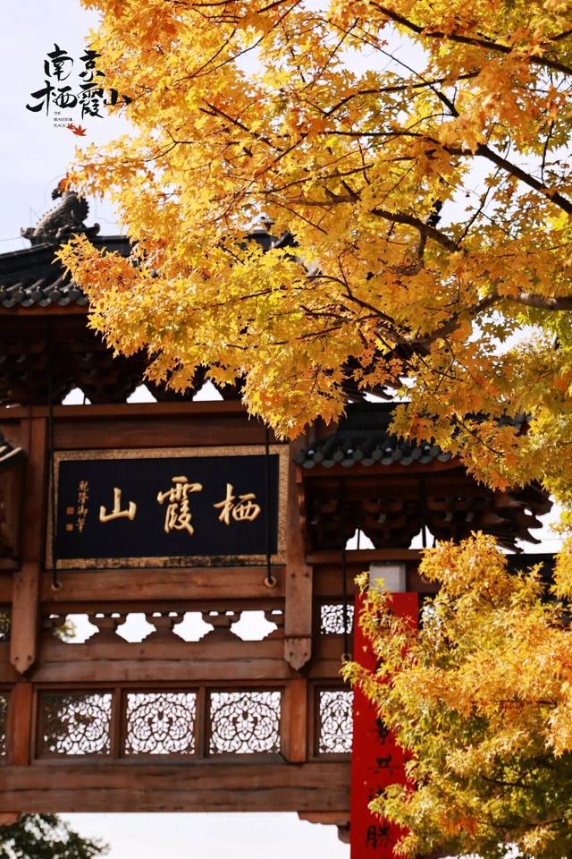 栖霞山红叶实拍+周末活动，不信你不动心！