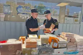 查获！跨境客车司机违规携带2444支雪茄图片