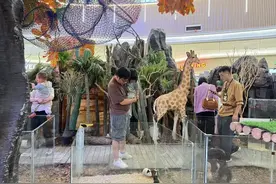 “热带雨林”搬进了商场，来“未知之境”近距离接触稀有萌宠！图片
