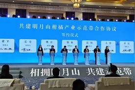 明月山文化旅游联盟正式成立 共同促进川渝文旅发展图片