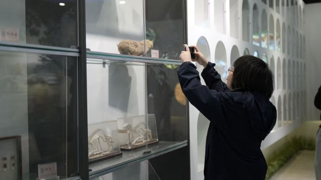 2025网聚美好安徽｜从“煤渣湖”到“网红打卡地”，淮北这片水域如此逆袭