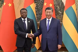 中非合作论坛丨习近平会见多哥总统福雷图片