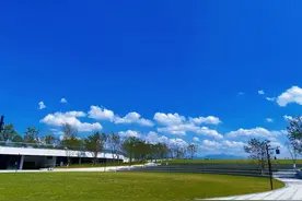 一路高唱小“晴”歌 衢州今日入夏图片