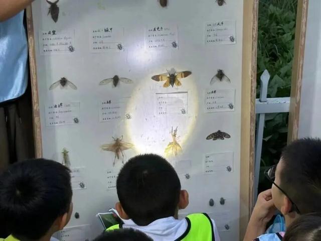 漳州长泰：“泰”式旅游火力全开