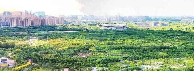 城市绿肺的前身竟然是座化工厂