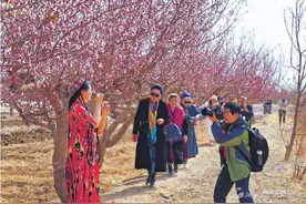 “杏花”催生新疆春日多元消费场景图片