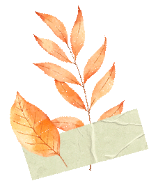 绝美！北京秋季颜值已达巅峰！这样定格最美秋天！