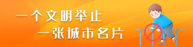 好评如潮！各地游客点赞毕节