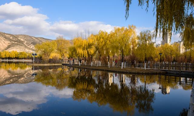 定西湖・初冬：柳黄映水 候鸟翩跹